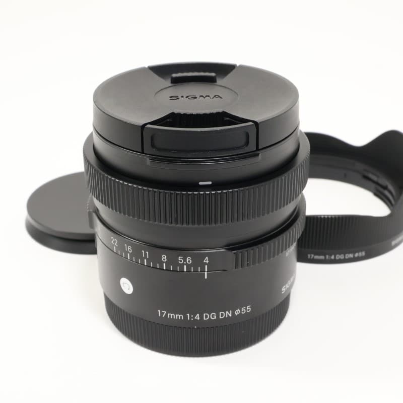 17mm F4 DG DN | Contemporary ソニーE