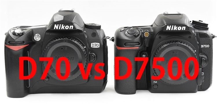 Nikon D70、D7500 画像