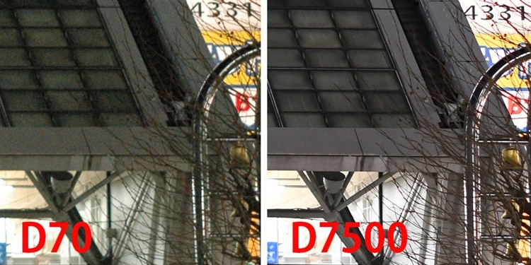 Nikon D70、D7500 比較高感度テスト画像①拡大