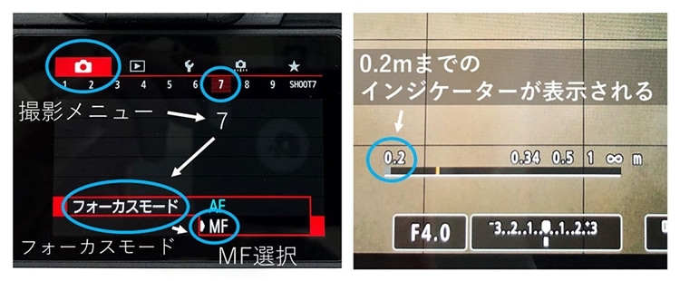 Canon (キヤノン) RF24-105mm F4-7.1 IS STMマクロ設定メニュー