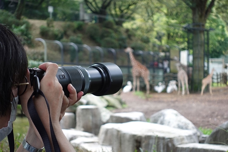 カメラ レンズ(ズーム) 動物園で使う望遠レンズに OLYMPUS(オリンパス) M.ZUIKO DIGITAL ED 