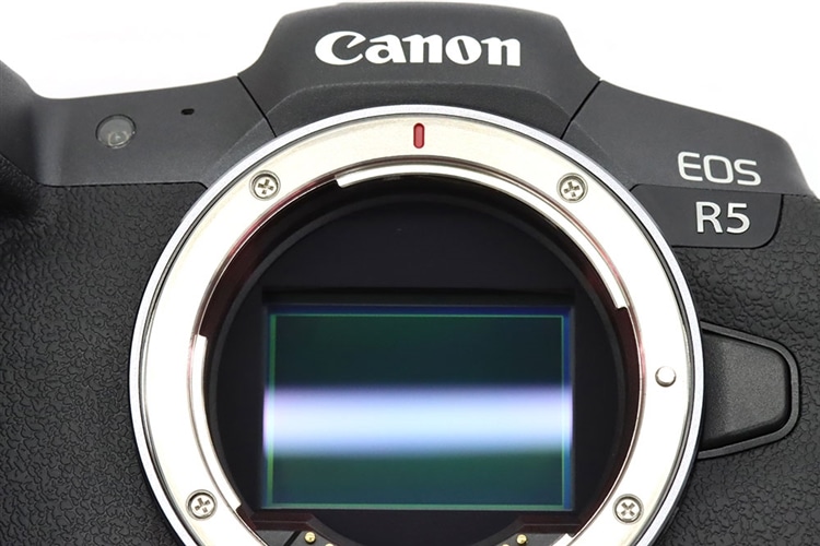 Canon EOS R5 センサー