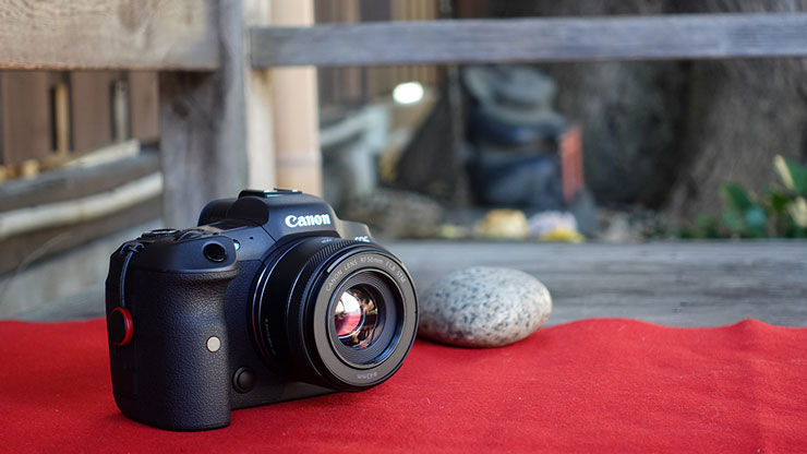 Canon(キヤノン) RF50mm F1.8 STM 実写レビュー｜ デジタルカメラ ビデオカメラ 交換レンズ｜フジヤカメラのブログ