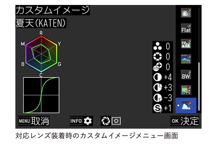 カスタムイメージ Special Edition「夏天（KATEN）」設定画面