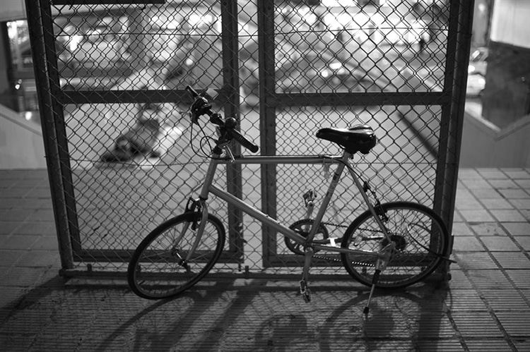 フェンスと自転車