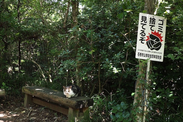 「猫の島」田代島にて