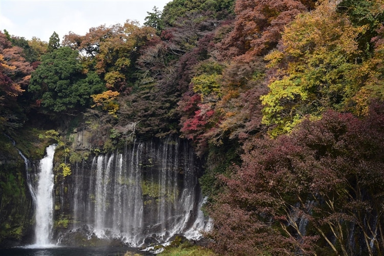 静岡県富士宮市の白糸の滝