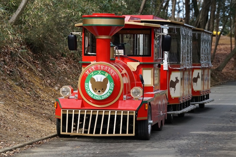 埼玉県こども動物自然公園「彩ポッポ」と呼ばれる汽車型のバス