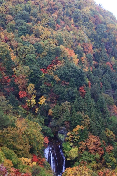 長野県茅野 市にある横谷渓谷・王滝の紅葉