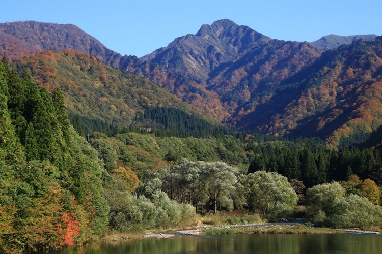 新潟県南魚沼郡・大源太湖遊歩道にて。目の前に聳える山は大源太山です。