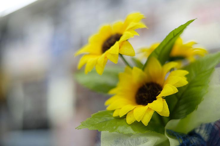 FUJIFILM X-T2 + XF35mmF1.4 Rで撮影した作例