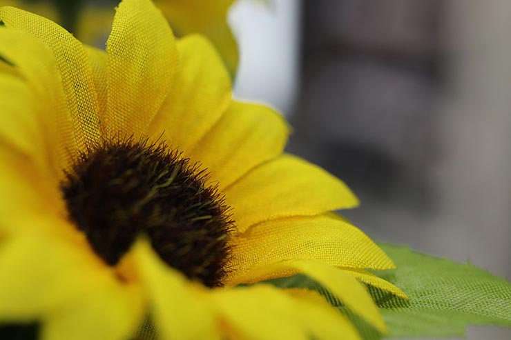 Canon EOS 5D MarkⅣ + SIGMA 70mm F2.8 DG MACRO | Artで撮影した造花の画像
