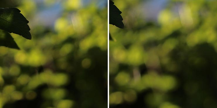 Canon EF40mm F2.8 STM 実写レビュー Canon EF40mm F2.8 STM 実写レビュー