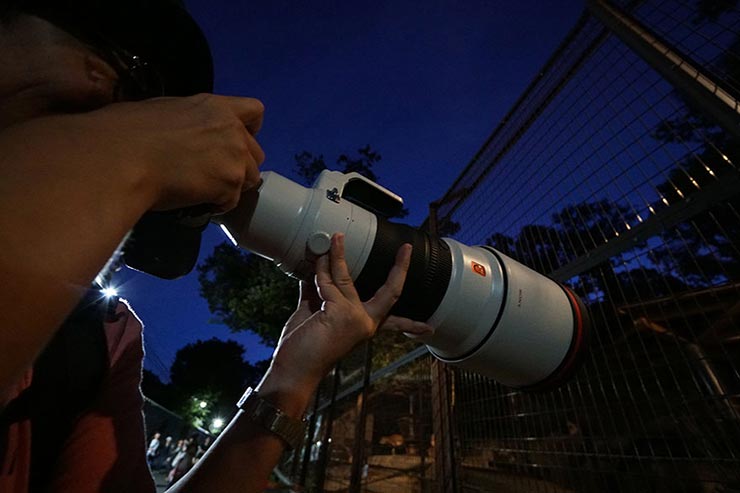 SONY FE 400mm F2.8 GM OSSを持って撮影している男性の画像