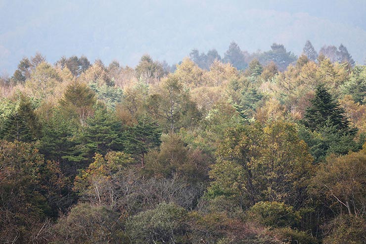 Canon EOS5D MarkIV　1/500　f6.3　ISO640　露出補正±0　焦点距離600mmで撮影した山の風景画像