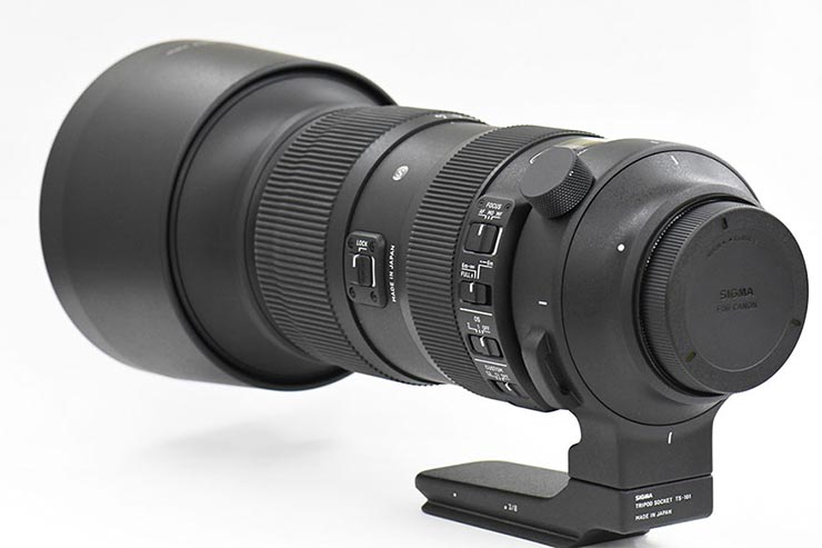 SIGMA 60-600mm F4.5-6.3 DG OS HSM | Sports 実写レビューキービジュアル