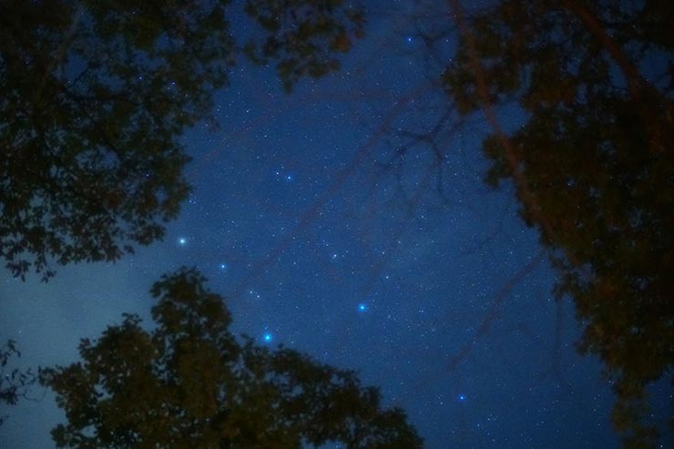 SONY α6500 + SIGMA 56mm F1.4 DC DN | Contemporaryで撮影した星空の画像