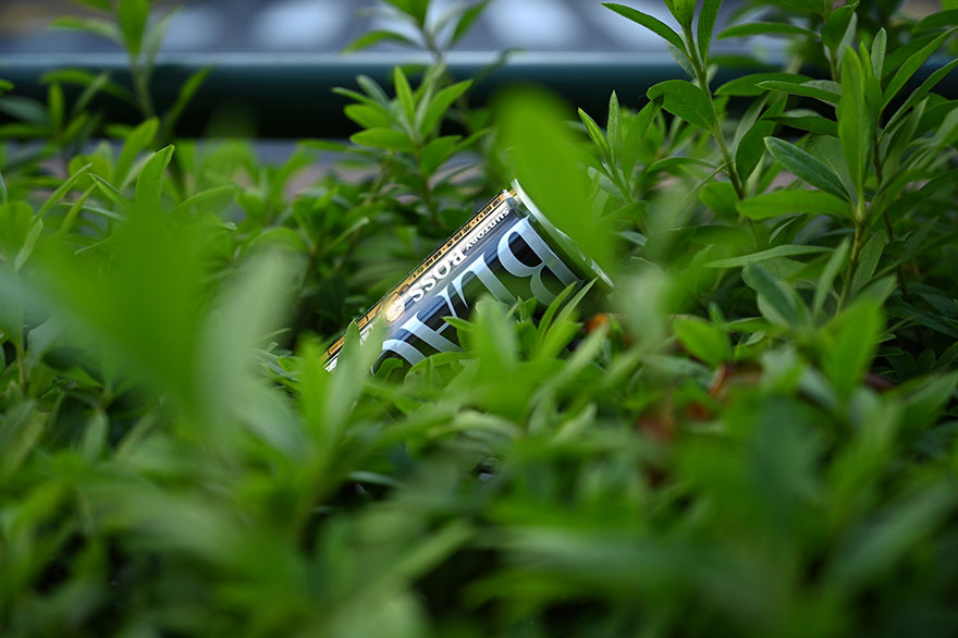 Nikon Z6で撮影した植物と空き缶の画像