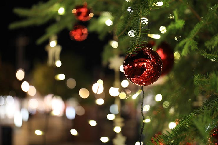 Canon EOS5D MarkIV + SIGMA 40mm F1.4 DG HSM | Artで撮影したクリスマスツリーの画像