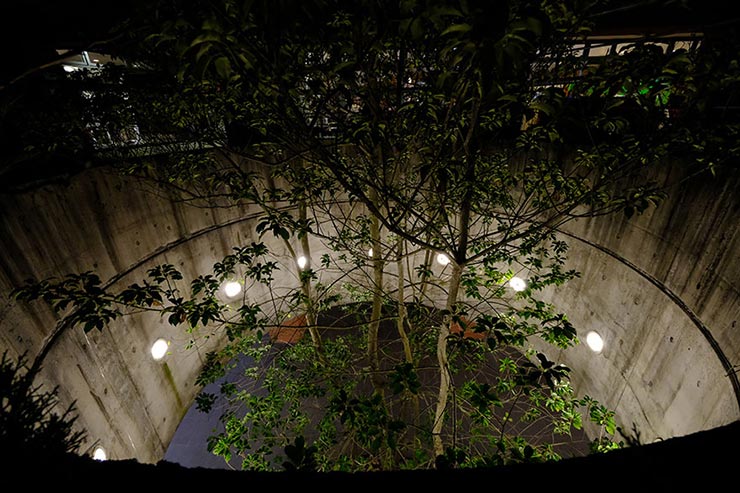 FUJIFILM X-T2　1/25　f5.6　ISO3200　露出補正-0.7　焦点距離10mm フィルムシュミレーション:Velviaで撮影した夜間の建物の作例