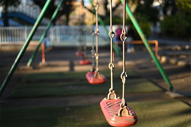 Nikon Z7　1/3200　f1.8　ISO100　露出補正-0.3で撮影した葉の画像