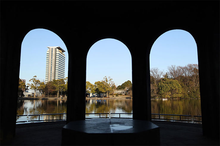 Canon EOS RにSIGMA 28mm F1.4 DG HSM | Artを装着して撮影した公園の画像 