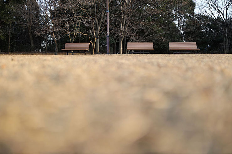 Canon EOS RにSIGMA 28mm F1.4 DG HSM | Artを装着して撮影した公園のベンチの画像 