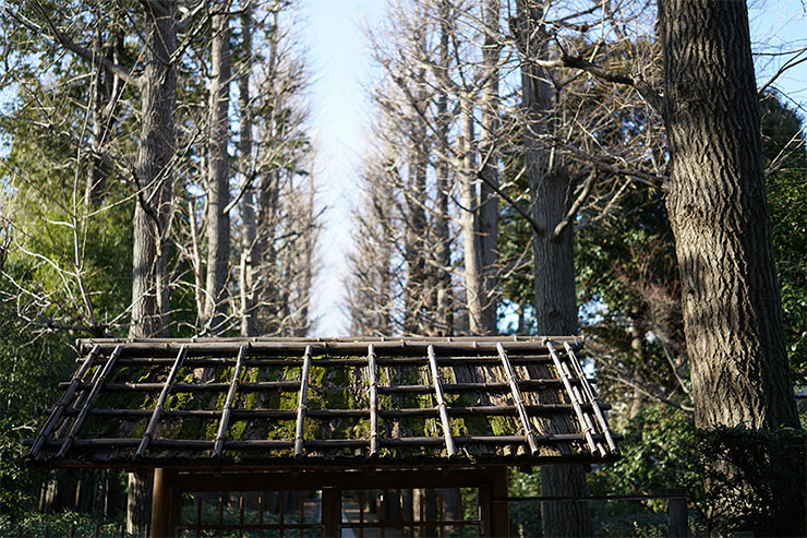 SONY α7RIIとCarl Zeiss Batis 2/40 CFを組み合わせて撮影した竹の小屋と森の画像