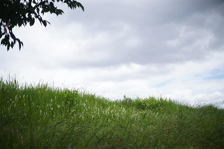 SONY α6400と7Artisans (七工匠) 25mm F1.8を組み合わせて撮影した丘の画像