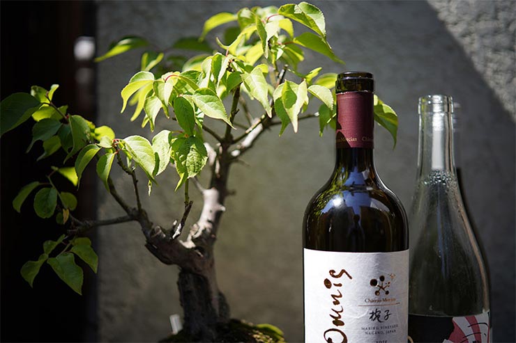 SAMYANGAF 45mm F1.8 FE 実写レビュー