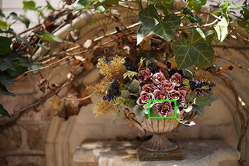 SAMYANGAF 45mm F1.8 FE 実写レビュー