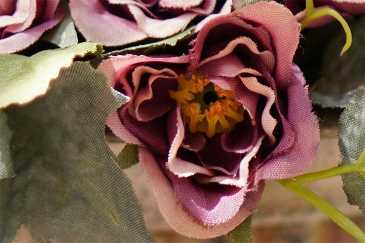 SONY α7RIIIとSAMYANG AF 45mm F1.8 FEを組み合わせて撮影した造花の拡大画像