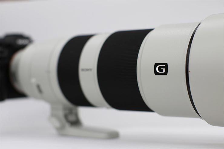 SONY FE 200-600mm F5.6-6.3 G OSS 実写レビューキービジュアル