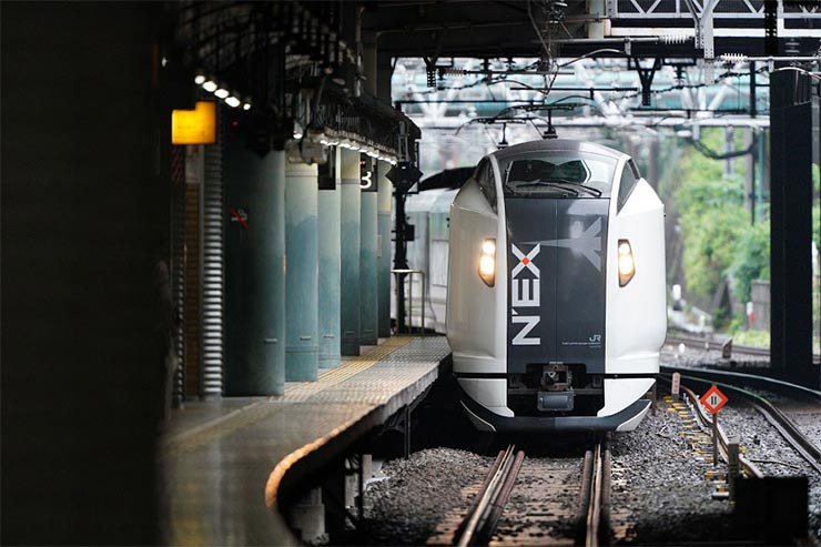 SONY α9 と FE 600mm F4 GM OSSを組み合わせて撮影したNEXの画像