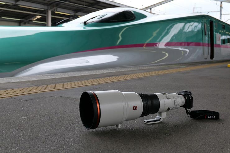 SONY FE 600mm F4 GM OSS 実写レビュー一覧用画像