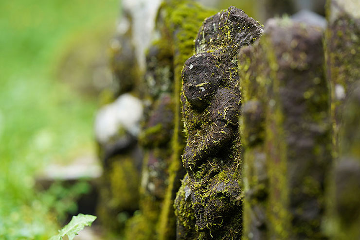苔に覆われた石仏の画像