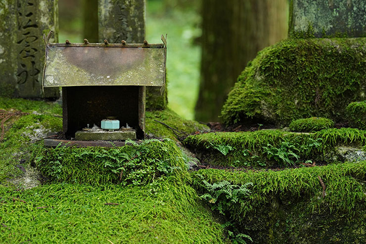 苔むした岩の上にある小さな祠の画像