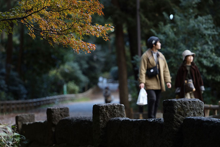 公園を歩く人の画像