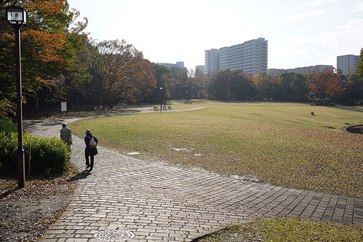 雨上がりの公園を老夫婦が散歩している画像