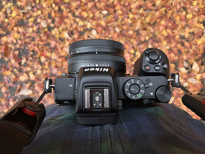 Nikon Z50の画像