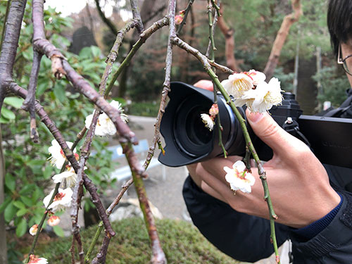OLYMPUS M.ZUIKO DIGITAL ED 12-45mm F4.0 PRO 実写レビュー
