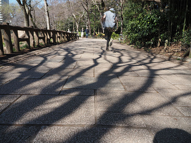 石畳に写った木の影と通り過ぎるランナーの画像