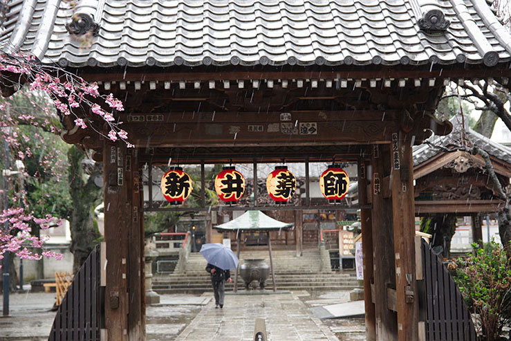 雨の日の新井薬師の画像