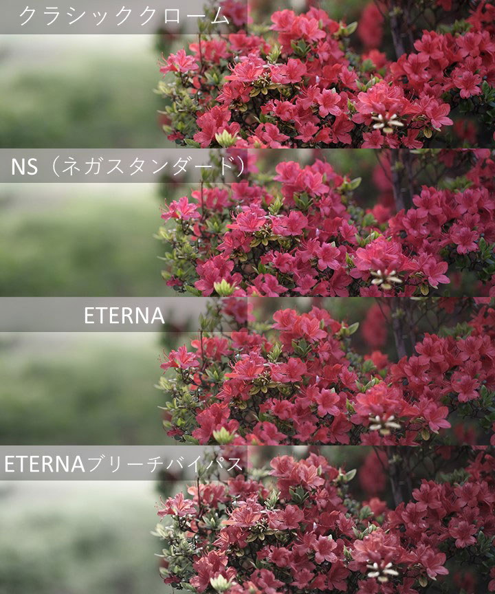 フィルムシミュレーションを4種比較した画像