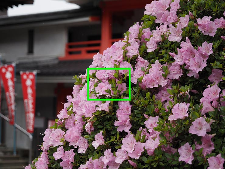 OM-D E-M5 Mark III + M.ZUIKO 12-45mm F4.0 PROで撮影した作例6