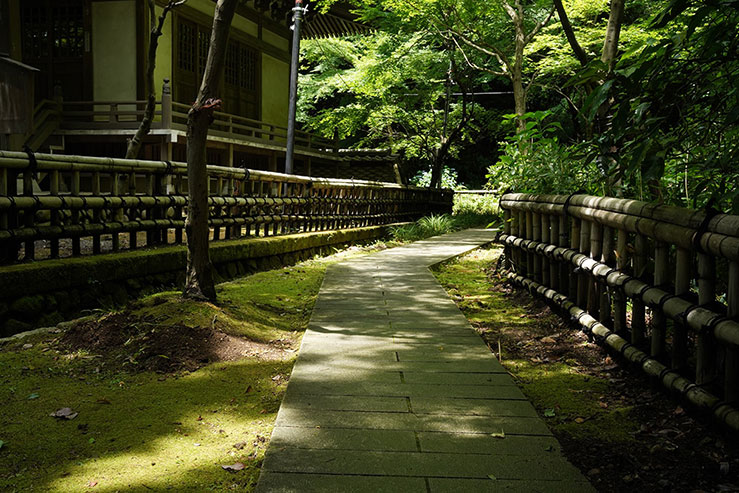 寺の境内へと続く小道の画像