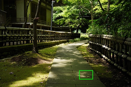 寺の境内へと続く小道の画像