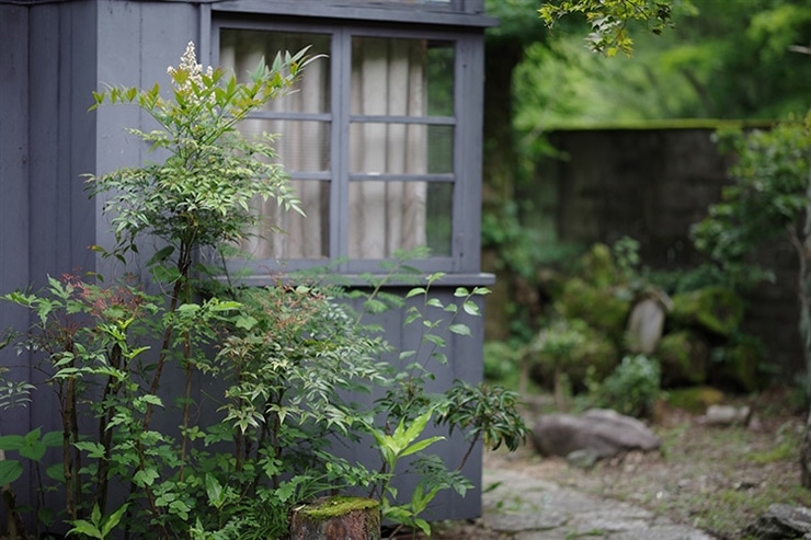 PENTAX K-1 Mark II・RICOH IMAGING HD PENTAX-D FA★85mmF1.4ED SDM AWで撮影した植物と建物の画像