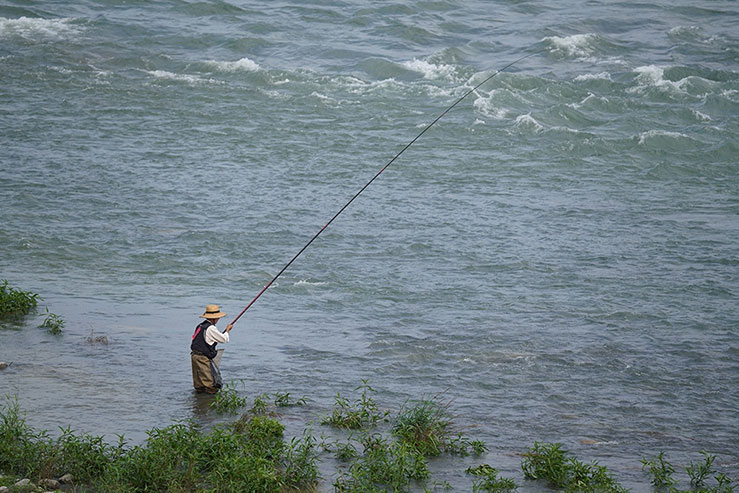多摩川で釣りをする男性の画像