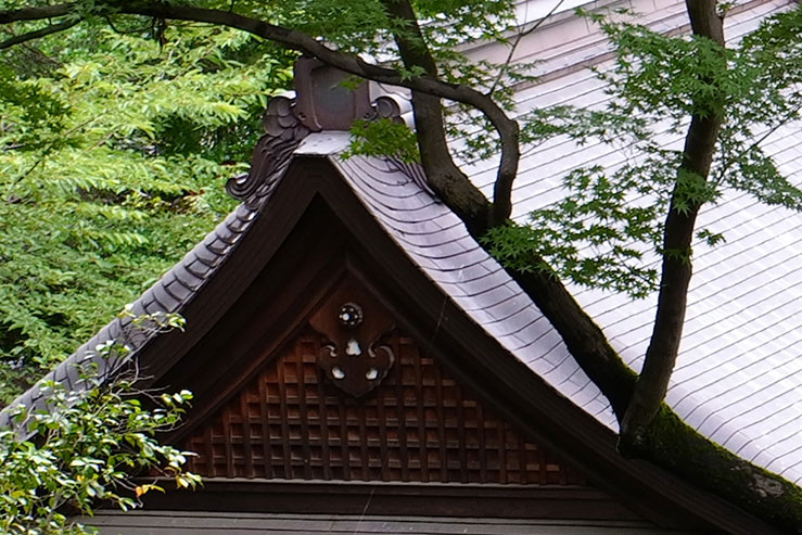 雨に濡れた建物の拡大画像